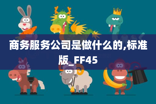 商务服务公司是做什么的,标准版_FF45