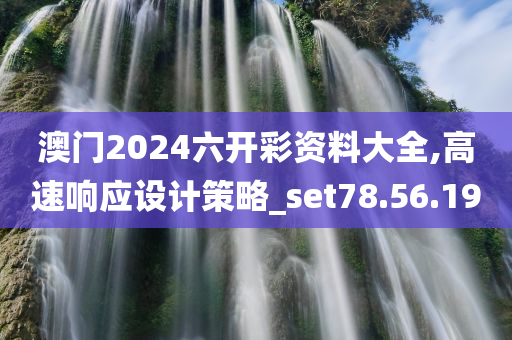 澳门2024六开彩资料大全,高速响应设计策略_set78.56.19