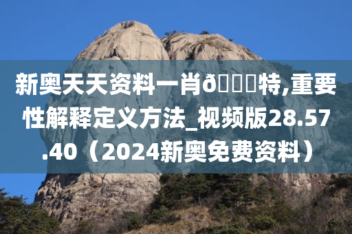 新奥天天资料一肖🀄特,重要性解释定义方法_视频版28.57.40（2024新奥免费资料）