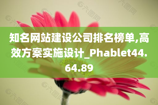 知名网站建设公司排名榜单,高效方案实施设计_Phablet44.64.89