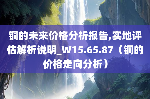 铜的未来价格分析报告,实地评估解析说明_W15.65.87（铜的价格走向分析）