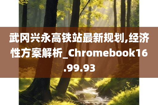 武冈兴永高铁站最新规划,经济性方案解析_Chromebook16.99.93