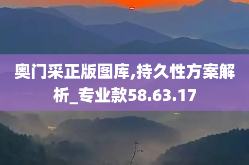 奥门采正版图库,持久性方案解析_专业款58.63.17