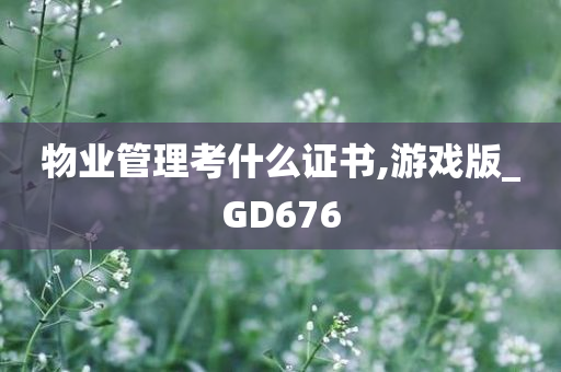 物业管理考什么证书,游戏版_GD676