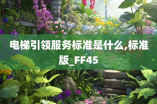 电梯引领服务标准是什么,标准版_FF45