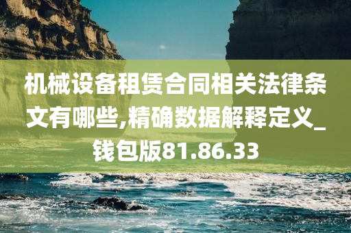 机械设备租赁合同相关法律条文有哪些,精确数据解释定义_钱包版81.86.33