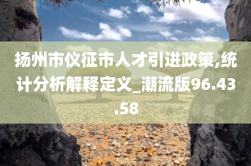 扬州市仪征市人才引进政策,统计分析解释定义_潮流版96.43.58