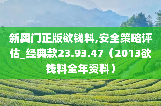 新奥门正版欲钱料,安全策略评估_经典款23.93.47（2013欲钱料全年资料）