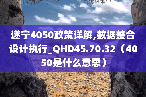 遂宁4050政策详解,数据整合设计执行_QHD45.70.32（4050是什么意思）