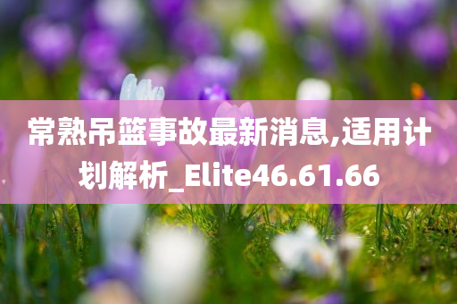 常熟吊篮事故最新消息,适用计划解析_Elite46.61.66