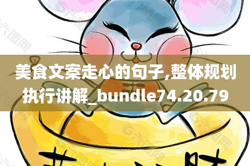 美食文案走心的句子,整体规划执行讲解_bundle74.20.79