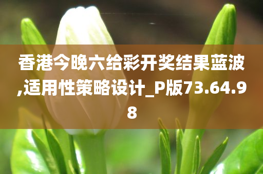 香港今晚六给彩开奖结果蓝波,适用性策略设计_P版73.64.98