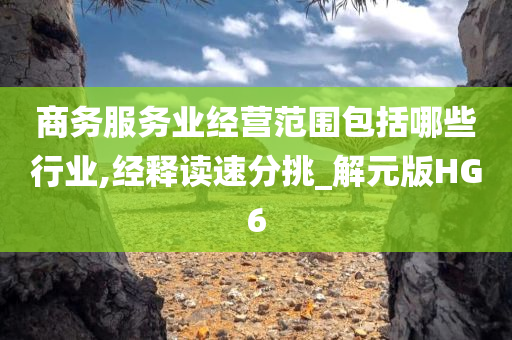 商务服务业经营范围包括哪些行业,经释读速分挑_解元版HG6