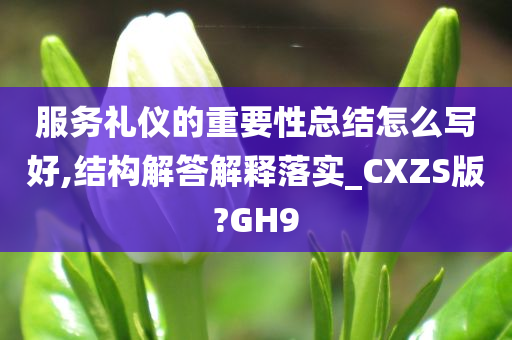 服务礼仪的重要性总结怎么写好,结构解答解释落实_CXZS版?GH9