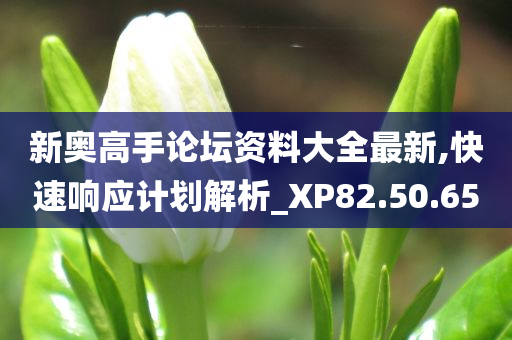 新奥高手论坛资料大全最新,快速响应计划解析_XP82.50.65