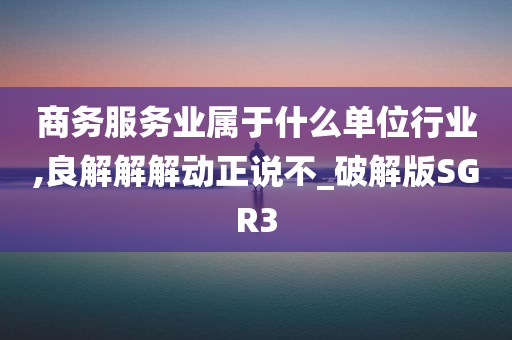 商务服务业属于什么单位行业,良解解解动正说不_破解版SGR3