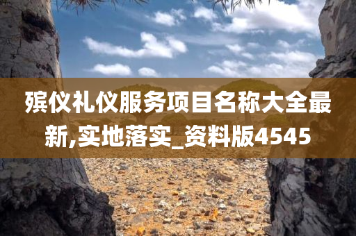 殡仪礼仪服务项目名称大全最新,实地落实_资料版4545