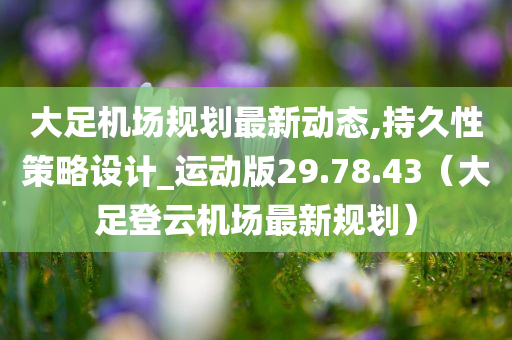 大足机场规划最新动态,持久性策略设计_运动版29.78.43（大足登云机场最新规划）