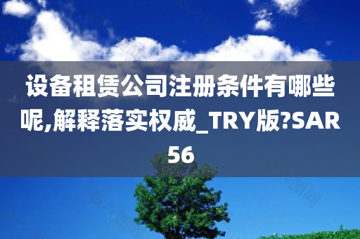 设备租赁公司注册条件有哪些呢,解释落实权威_TRY版?SAR56