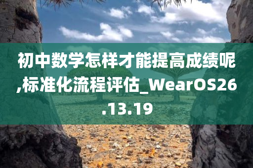 初中数学怎样才能提高成绩呢,标准化流程评估_WearOS26.13.19