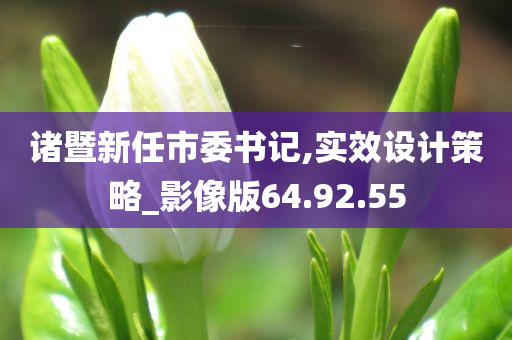 诸暨新任市委书记,实效设计策略_影像版64.92.55