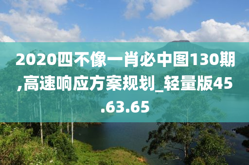 2020四不像一肖必中图130期,高速响应方案规划_轻量版45.63.65