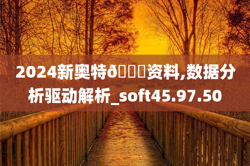 2024新奥特🐎资料,数据分析驱动解析_soft45.97.50