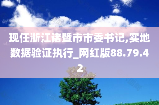 现任浙江诸暨市市委书记,实地数据验证执行_网红版88.79.42