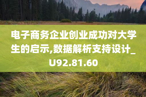 电子商务企业创业成功对大学生的启示,数据解析支持设计_U92.81.60