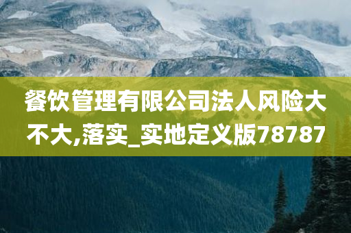 餐饮管理有限公司法人风险大不大,落实_实地定义版78787