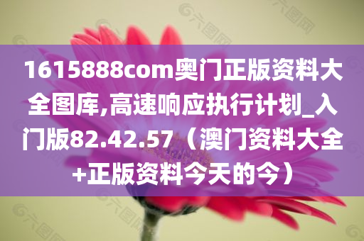 1615888com奥门正版资料大全图库,高速响应执行计划_入门版82.42.57（澳门资料大全+正版资料今天的今）