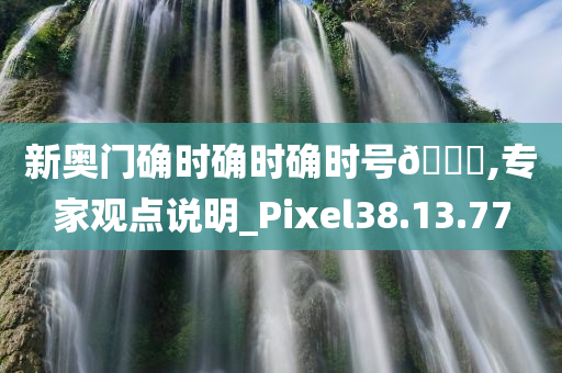 新奥门确时确时确时号🐎,专家观点说明_Pixel38.13.77