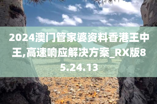 2024澳门管家婆资料香港王中王,高速响应解决方案_RX版85.24.13