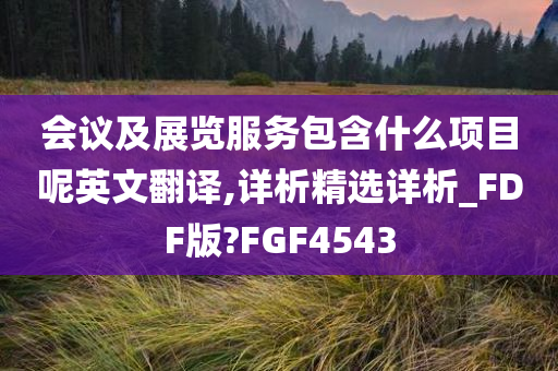 会议及展览服务包含什么项目呢英文翻译,详析精选详析_FDF版?FGF4543