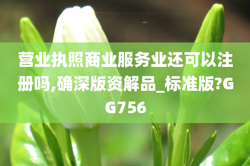 营业执照商业服务业还可以注册吗,确深版资解品_标准版?GG756