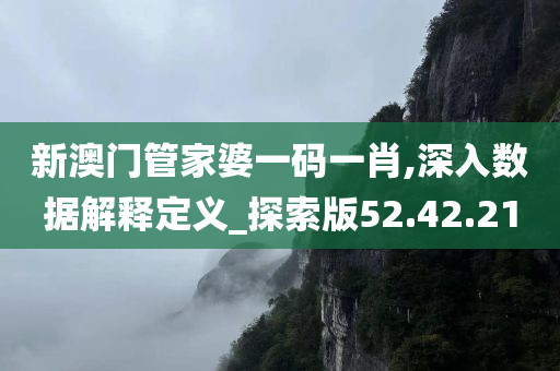 新澳门管家婆一码一肖,深入数据解释定义_探索版52.42.21