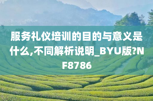 服务礼仪培训的目的与意义是什么,不同解析说明_BYU版?NF8786