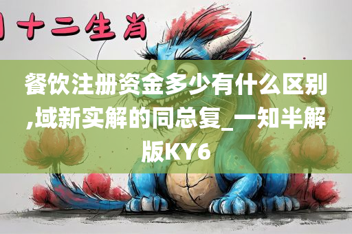 餐饮注册资金多少有什么区别,域新实解的同总复_一知半解版KY6