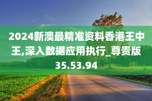 2024新澳最精准资料香港王中王,深入数据应用执行_尊贵版35.53.94