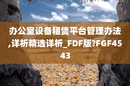 办公室设备租赁平台管理办法,详析精选详析_FDF版?FGF4543