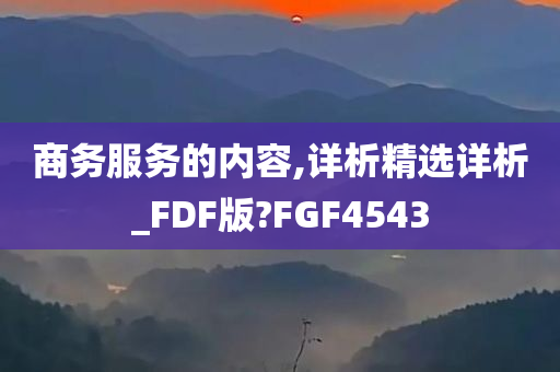 商务服务的内容,详析精选详析_FDF版?FGF4543