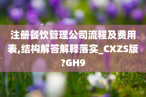 注册餐饮管理公司流程及费用表,结构解答解释落实_CXZS版?GH9