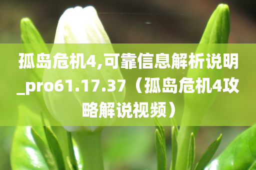 孤岛危机4,可靠信息解析说明_pro61.17.37（孤岛危机4攻略解说视频）