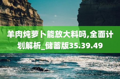 羊肉炖萝卜能放大料吗,全面计划解析_储蓄版35.39.49