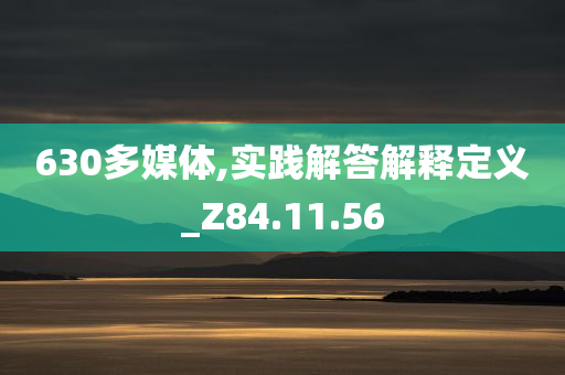 630多媒体,实践解答解释定义_Z84.11.56