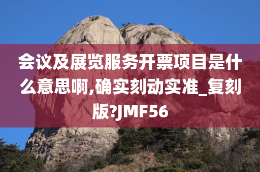 会议及展览服务开票项目是什么意思啊,确实刻动实准_复刻版?JMF56