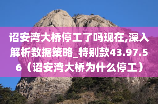 诏安湾大桥停工了吗现在,深入解析数据策略_特别款43.97.56（诏安湾大桥为什么停工）