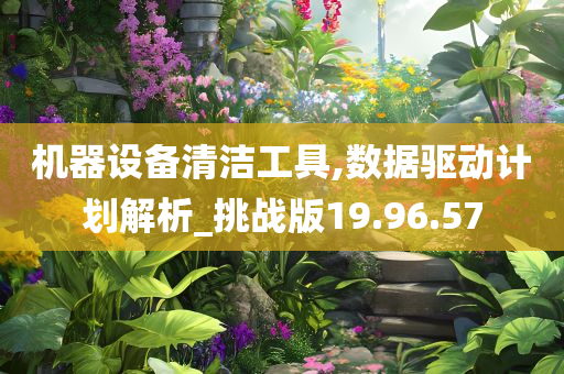 机器设备清洁工具,数据驱动计划解析_挑战版19.96.57