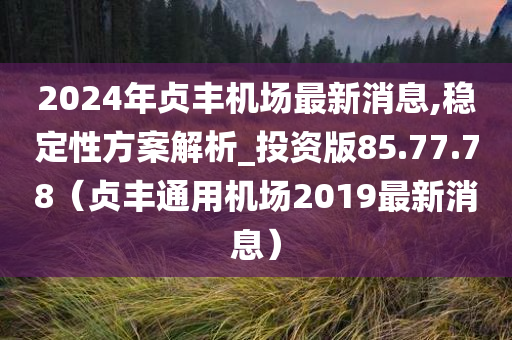 2024年贞丰机场最新消息,稳定性方案解析_投资版85.77.78（贞丰通用机场2019最新消息）