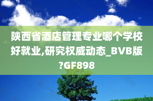 陕西省酒店管理专业哪个学校好就业,研究权威动态_BVB版?GF898